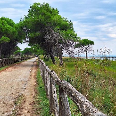 Cozy Villa 250 Metres From The Beach - Beahost - ビビオーネ エクステリア 写真