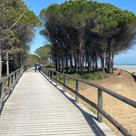 Cozy Villa 250 Metres From The Beach - Beahost - ビビオーネ エクステリア 写真