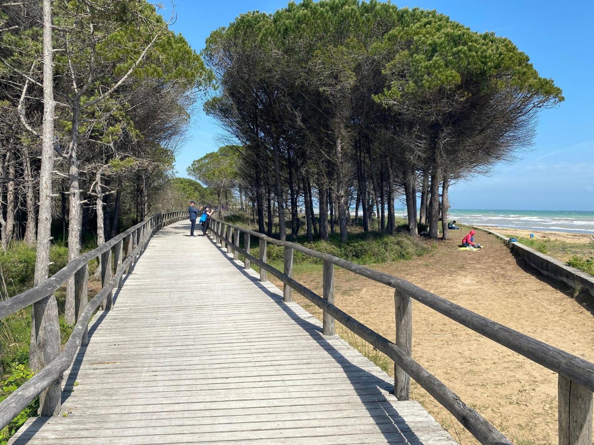 Cozy Villa 250 Metres From The Beach - Beahost - ビビオーネ エクステリア 写真